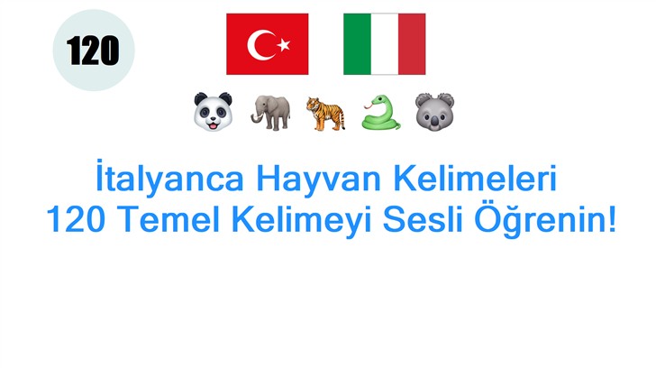 İtalyanca Hayvan Kelimeleri: 120 Temel Kelimeyi Sesli Öğrenin!